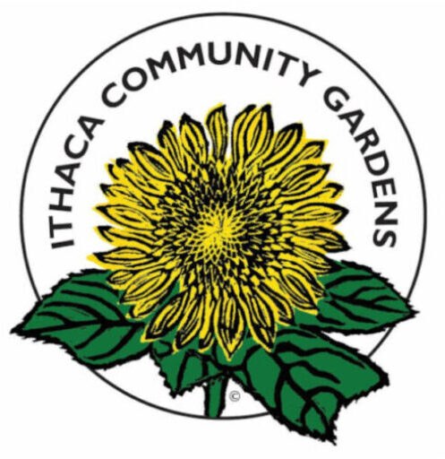 Ithaca Community Gardens