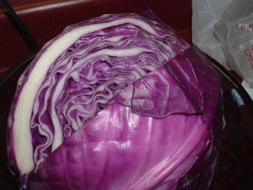 allison jack5 inside cabbage